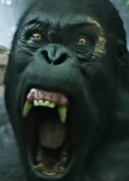 Akut (The Legend of Tarzan) photo