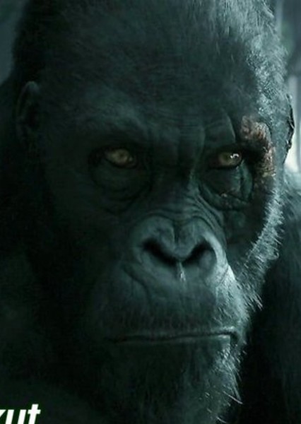 Akut (The Legend of Tarzan) photo