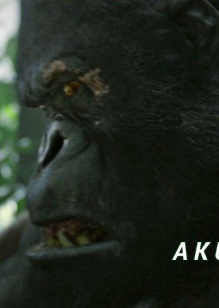 Akut (The Legend of Tarzan) photo