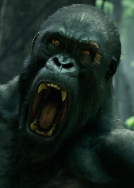 Akut (The Legend of Tarzan) photo