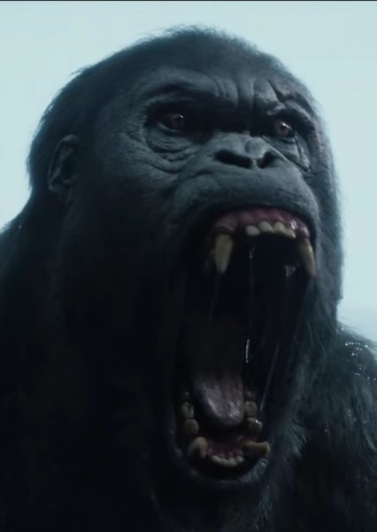 Akut (The Legend of Tarzan) photo