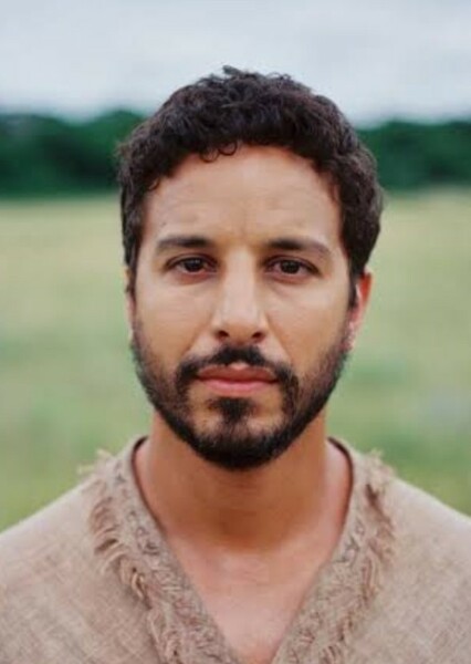 Alaa Safi photo
