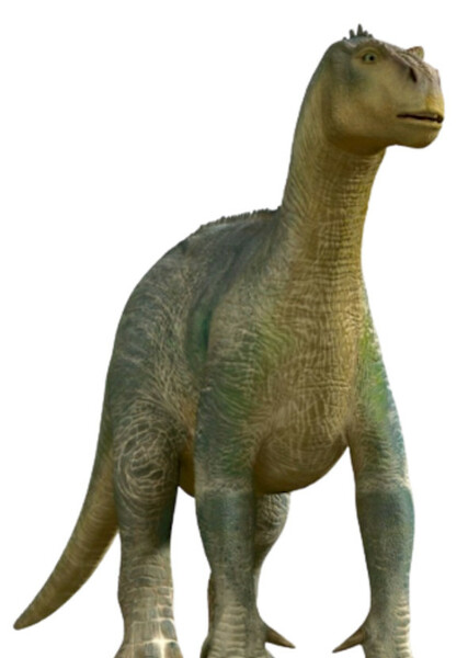 Aladar photo