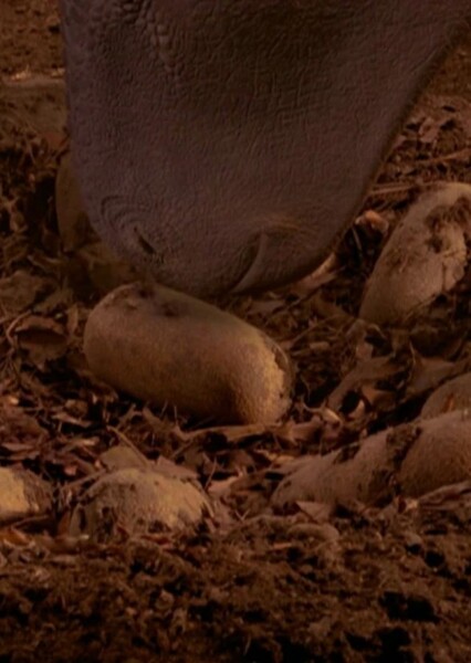 Aladar's Mother (Dinosaur) photo