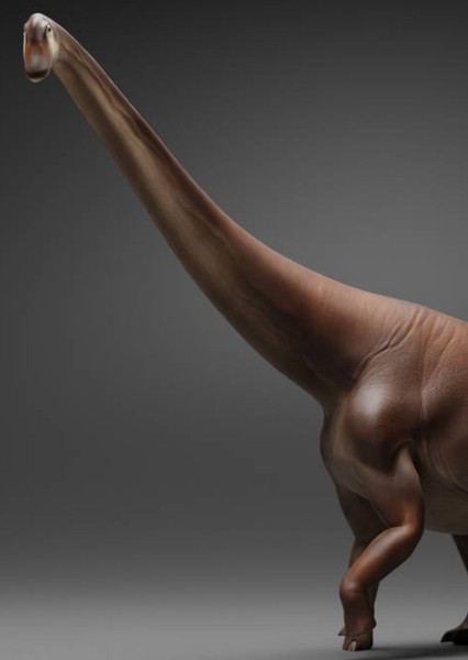 Alamosaurus photo