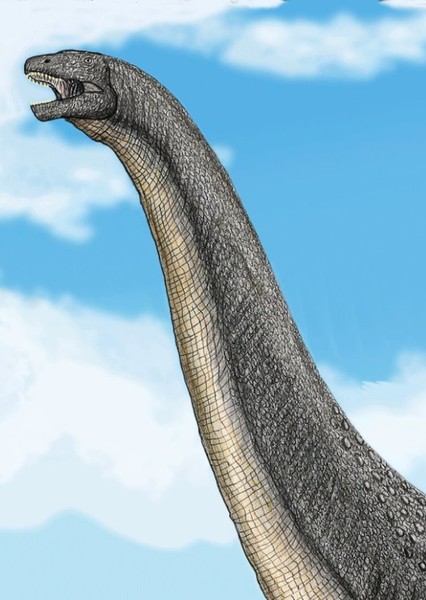 Alamosaurus photo