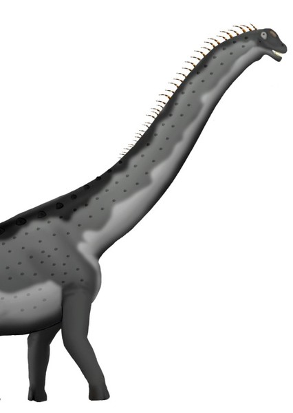Alamosaurus photo