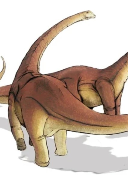 Alamosaurus photo