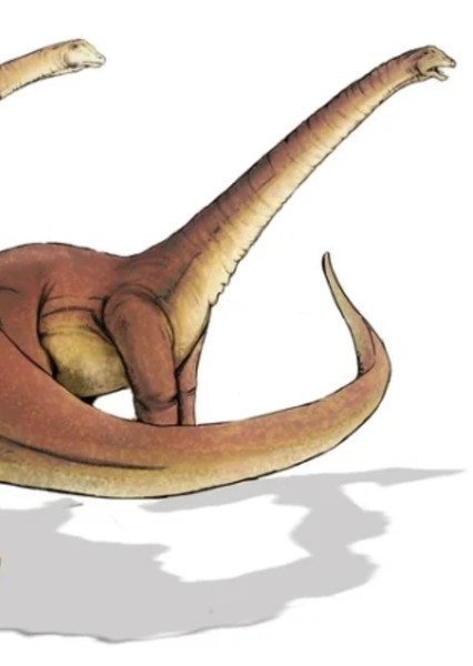 Alamosaurus photo
