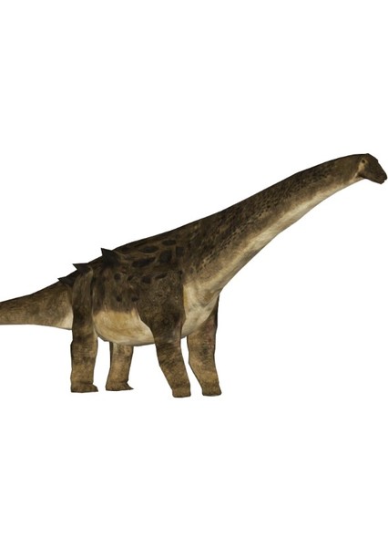 Alamosaurus photo