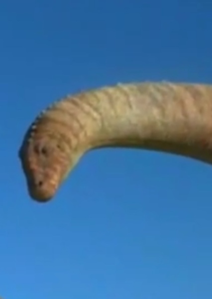 Alamosaurus photo