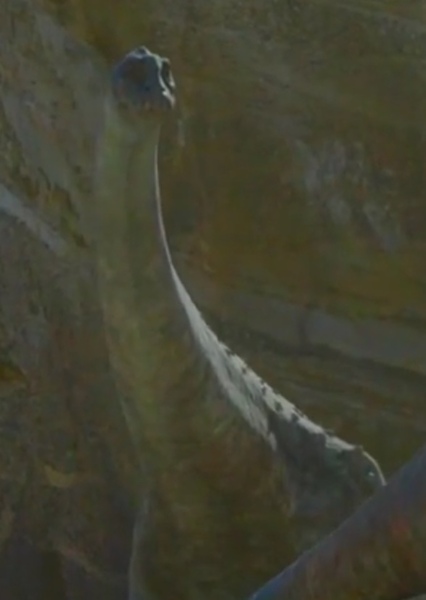 Alamosaurus photo