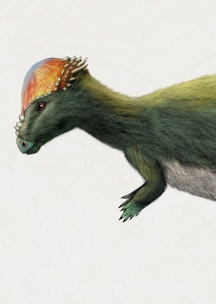 Alaskacephale