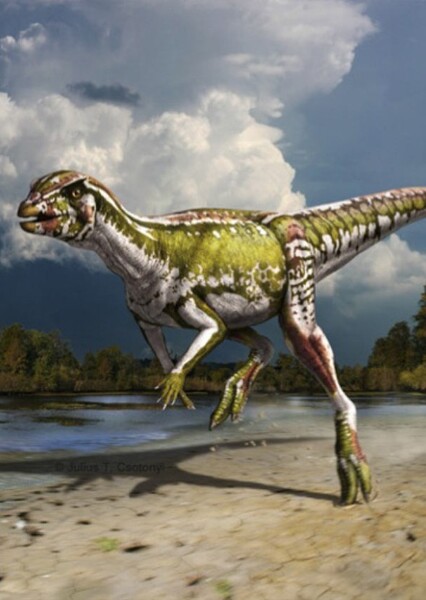 Albertadromeus