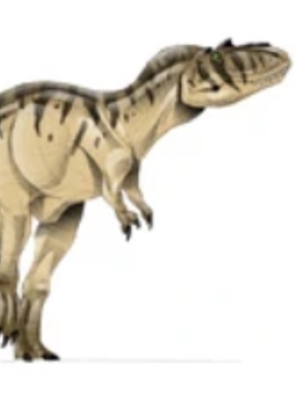 Albertosaurus photo