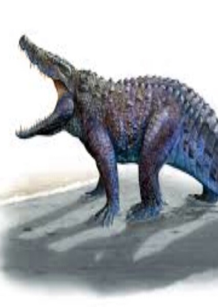 Albertosuchus