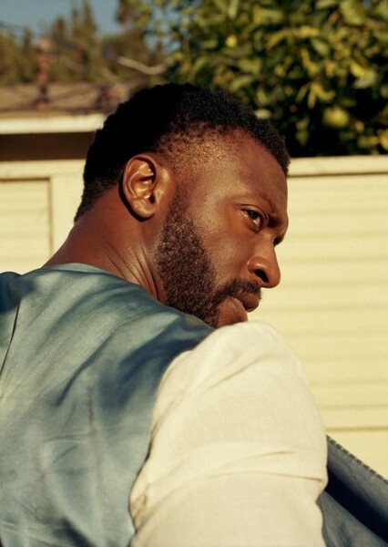 Aldis Hodge