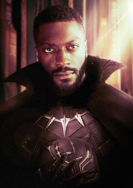 Recast Black Panther