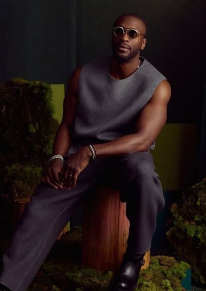 Aldis Hodge photo