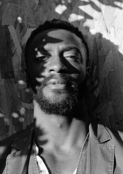 Aldis Hodge photo