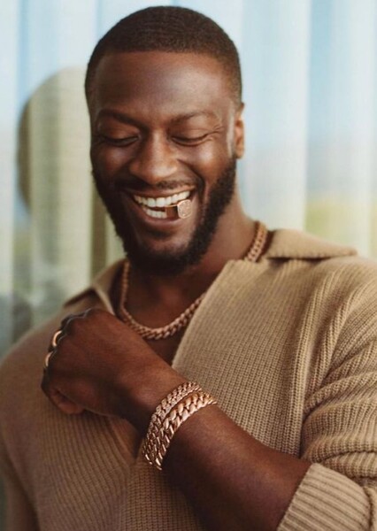 Aldis Hodge photo
