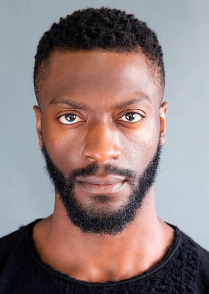 Aldis Hodge photo