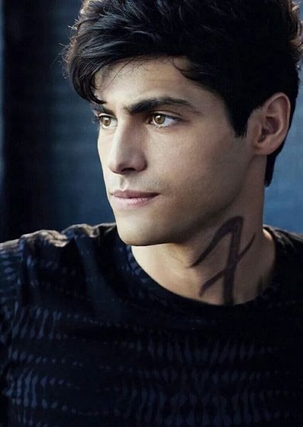 Alec Lightwood photo