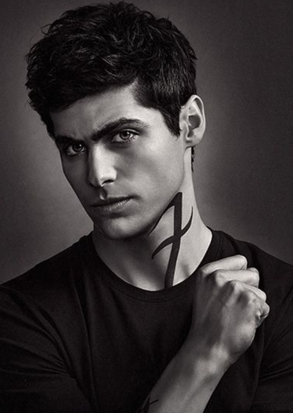 Alec Lightwood photo