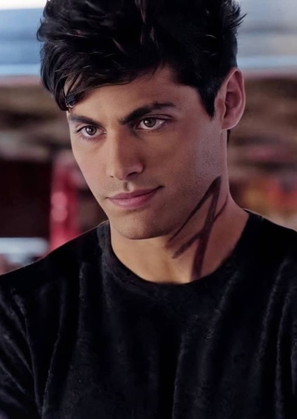 Alec Lightwood photo