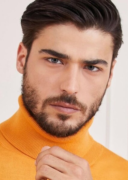 Alessandro Dellisola photo