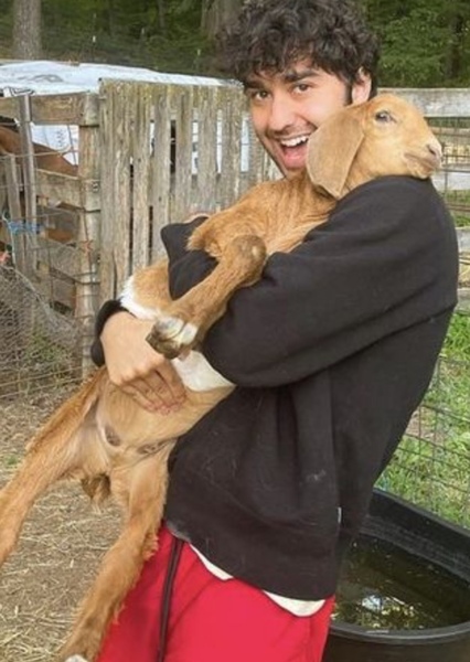 Alex Wolff photo