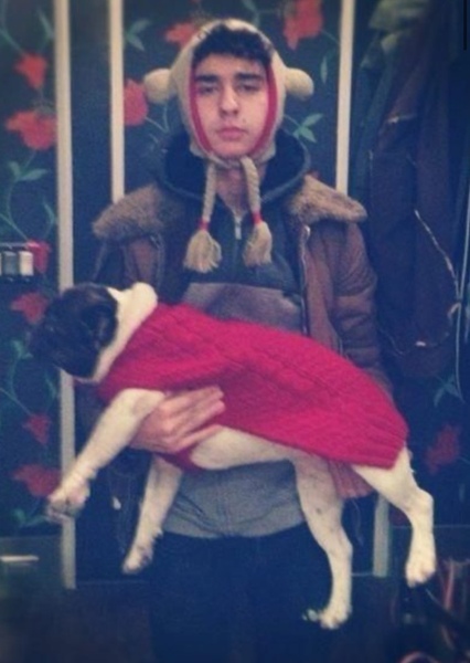 Alex Wolff photo