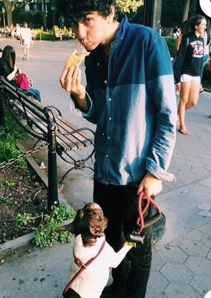 Alex Wolff photo