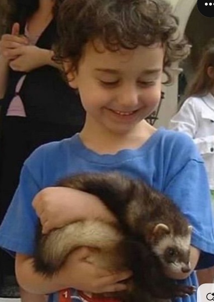 Alex Wolff photo