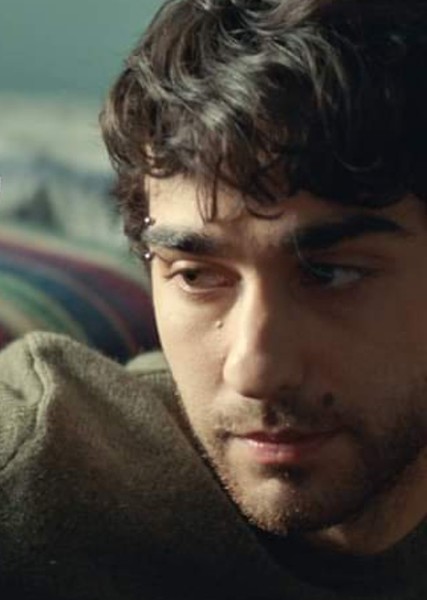 Alex Wolff photo