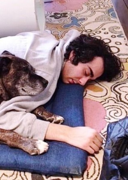 Alex Wolff photo