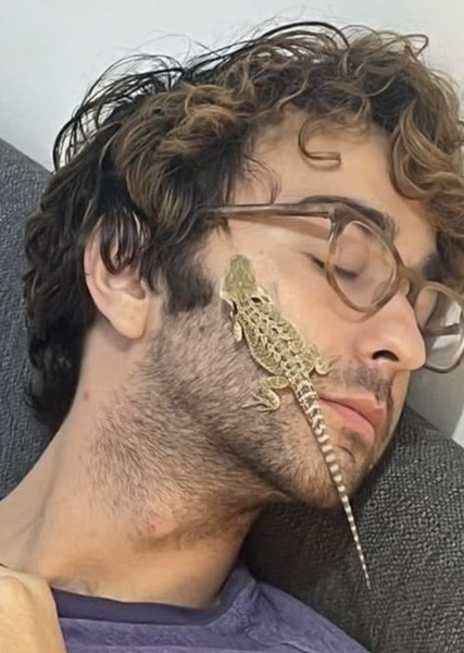 Alex Wolff photo