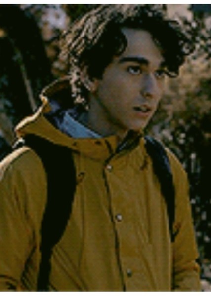 Alex Wolff photo