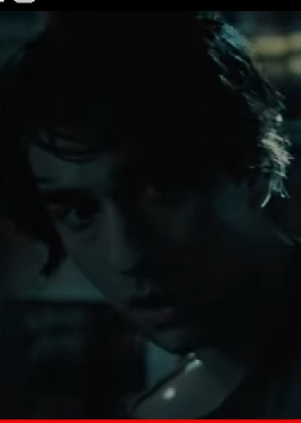 Alex Wolff photo