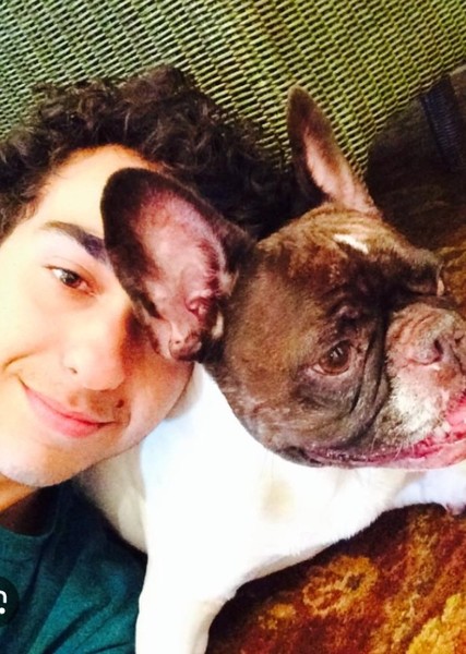 Alex Wolff photo
