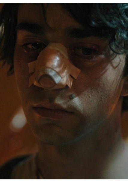 Alex Wolff photo