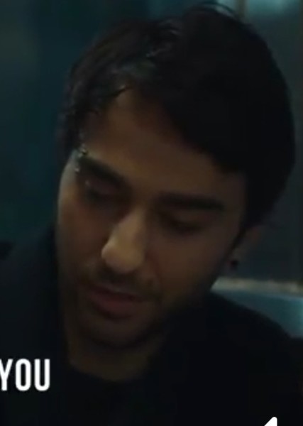 Alex Wolff photo