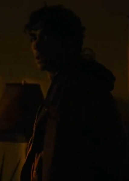 Alex Wolff photo
