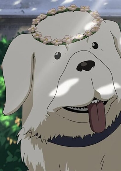 Alexander (Fullmetal Alchemist)