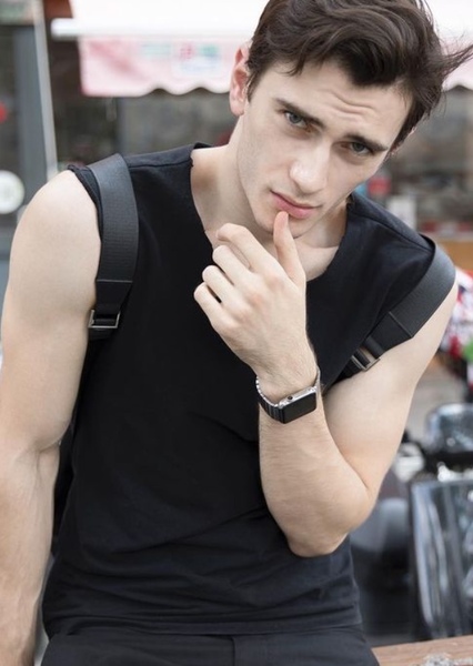 Alexandru Badaluta photo