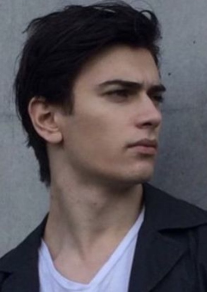 Alexandru Badaluta photo