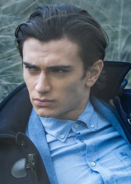 Alexandru Badaluta photo