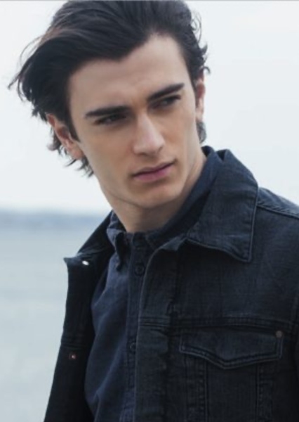 Alexandru Badaluta photo