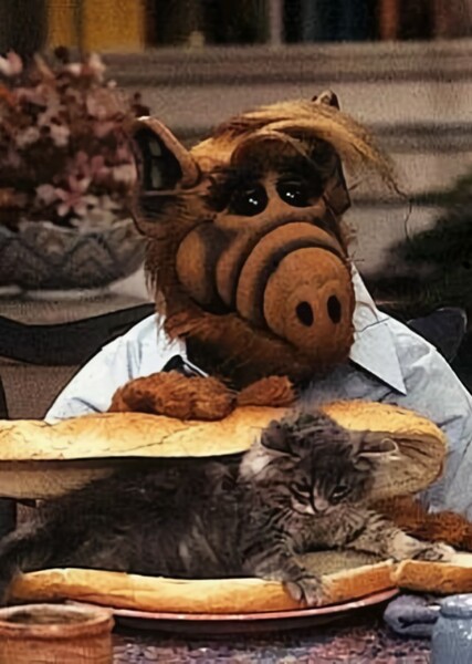 ALF photo