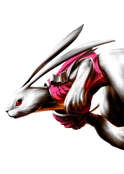 Alice the Rabbit photo